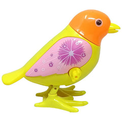 (12 pcs) Happy bird winding Toy